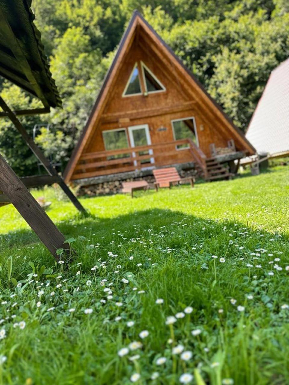 Cabanutze Satic Rucăr Exterior foto