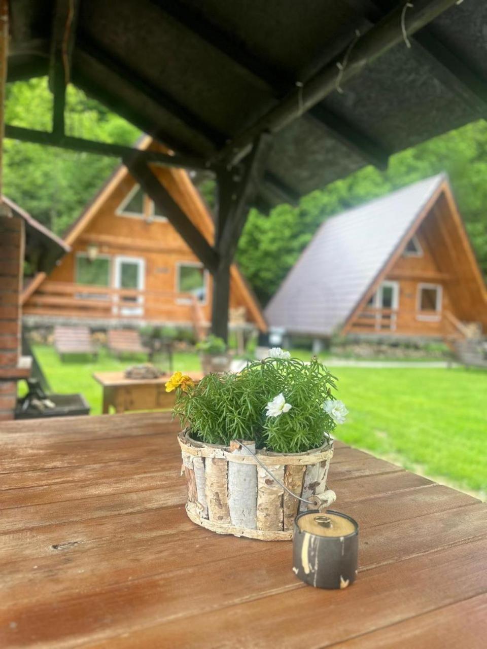 Cabanutze Satic Rucăr Exterior foto