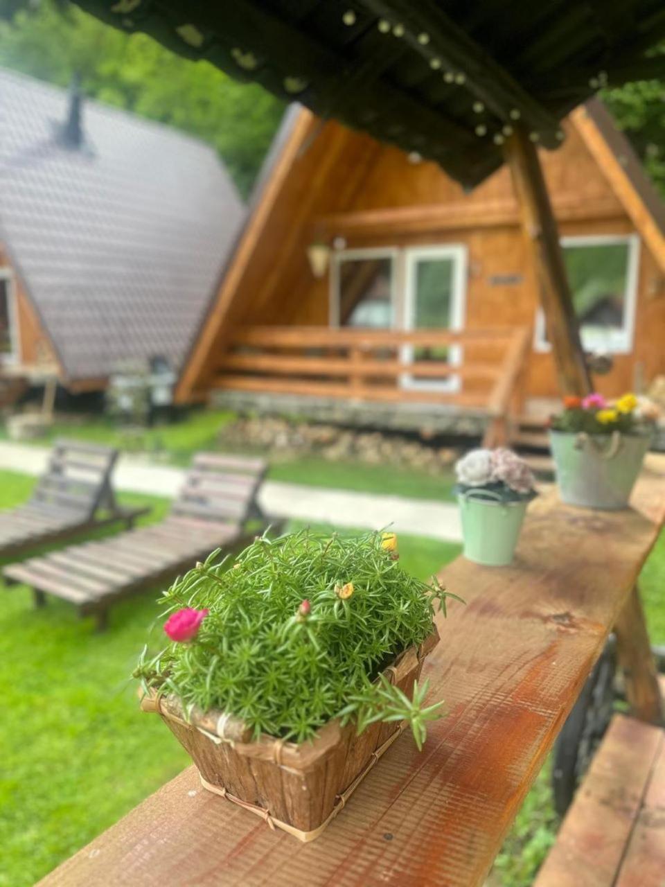 Cabanutze Satic Rucăr Exterior foto