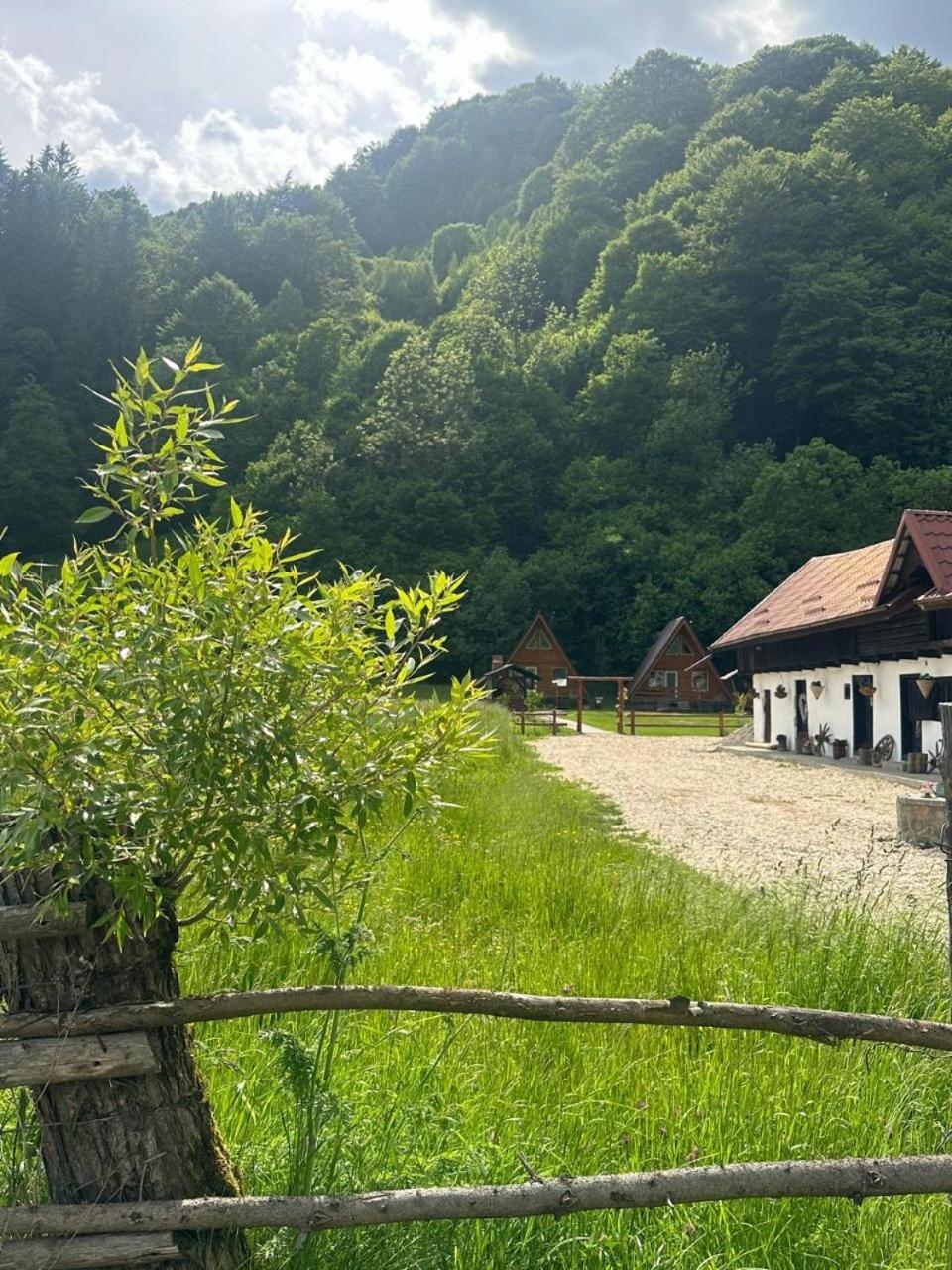 Cabanutze Satic Rucăr Exterior foto