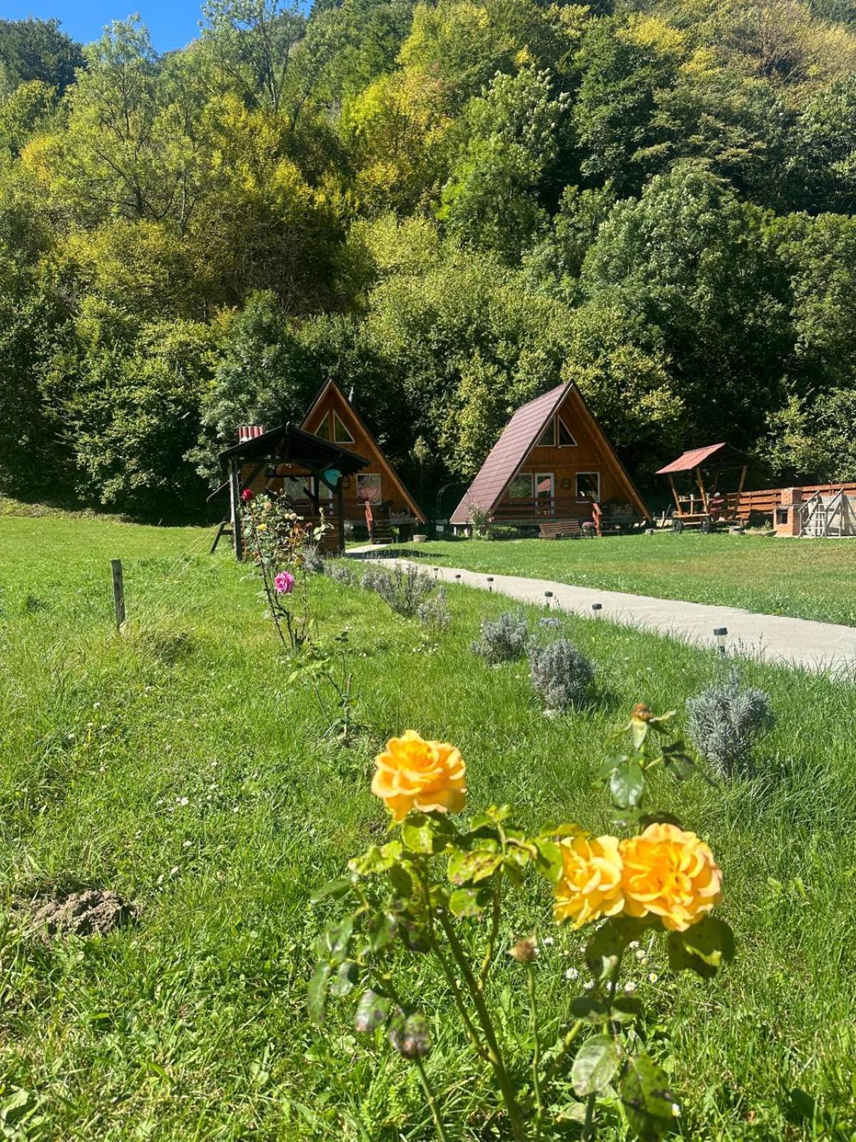 Cabanutze Satic Rucăr Exterior foto